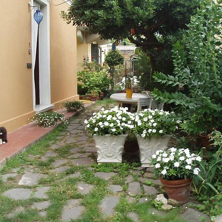 Perla B&B Lido di Venezia Екстер'єр фото
